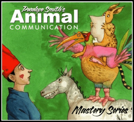 Animal Communication Mastery Series by Penelope Smith